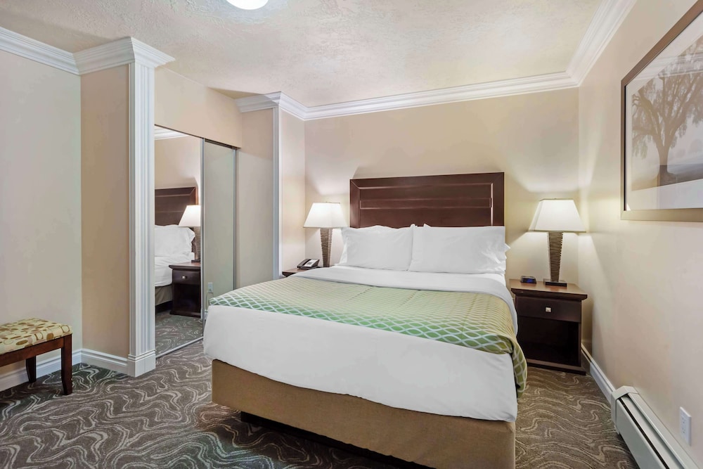 Standard Room, 1 Queen Bed, Non Smoking, Refrigerator - Photo 3