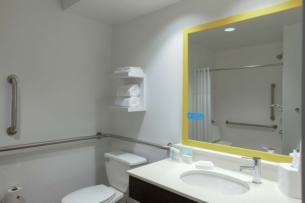 Room, 1 King Bed, Accessible (Roll-In Shower)