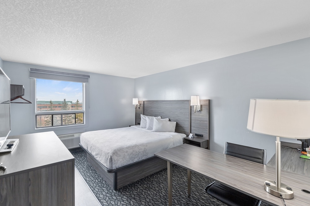 Standard Room, 1 King Bed, Non Smoking - Photo 1