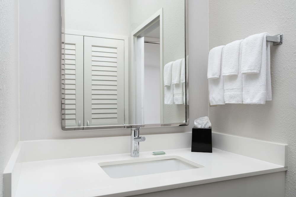 Suite, 1 Bedroom - Photo 10