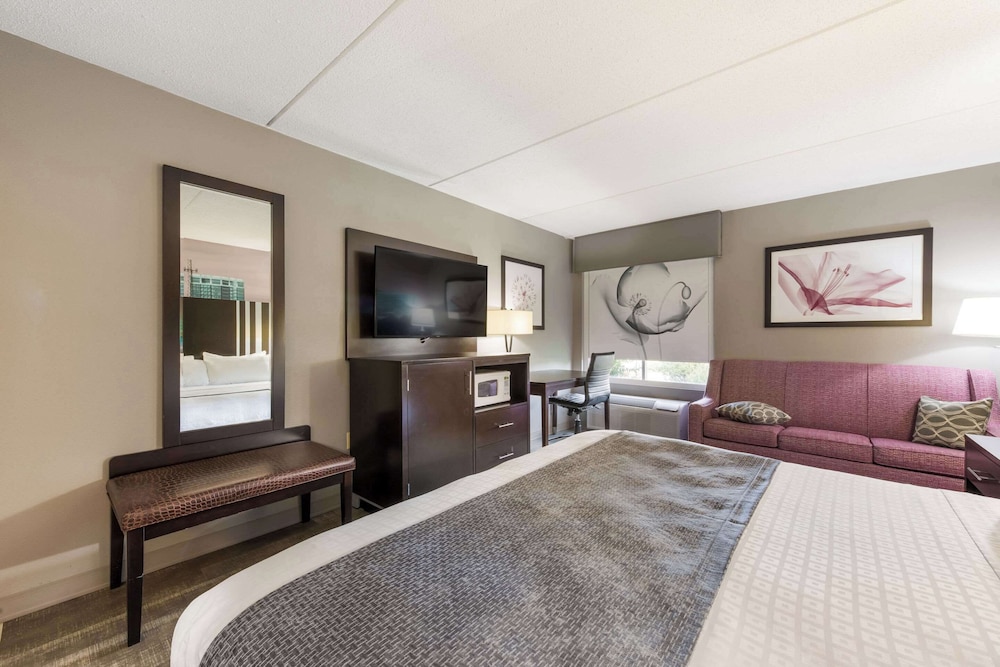 Room, 1 King Bed, Non Smoking - Photo 4