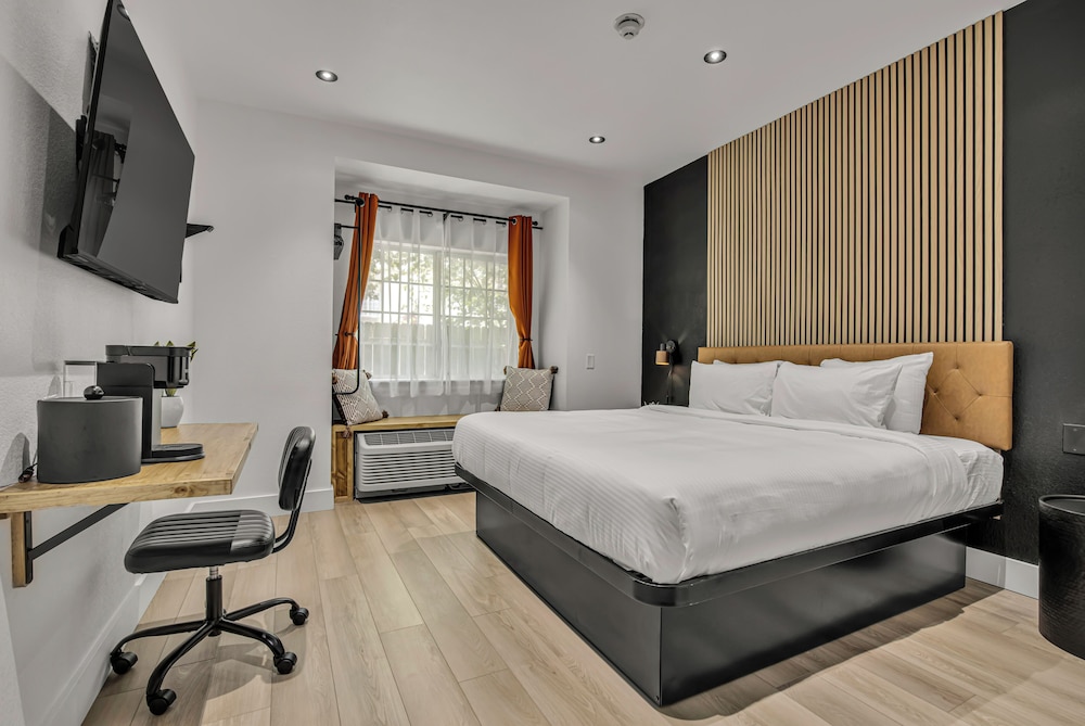 Deluxe Single Room - Photo 1
