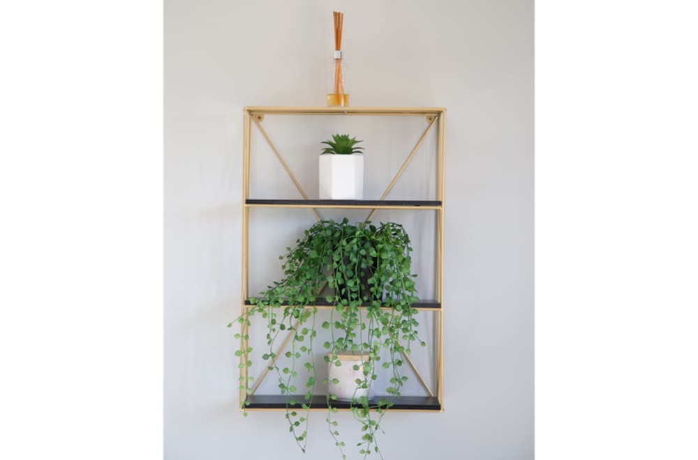 Self Contained Unit - Studio (Studio) - Photo 4