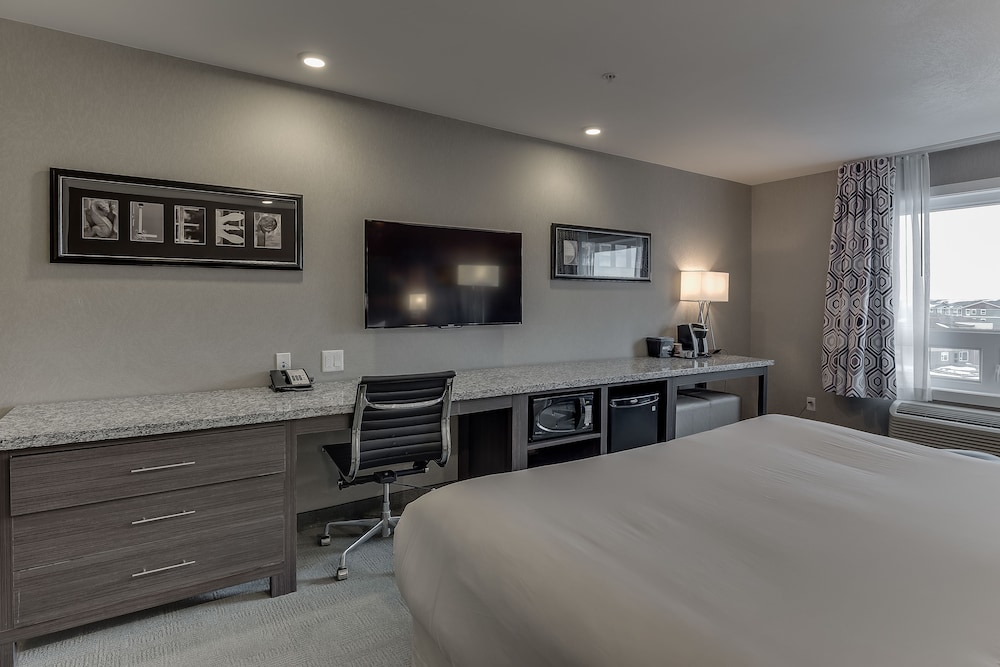 Business Room, 1 King Bed photo 2