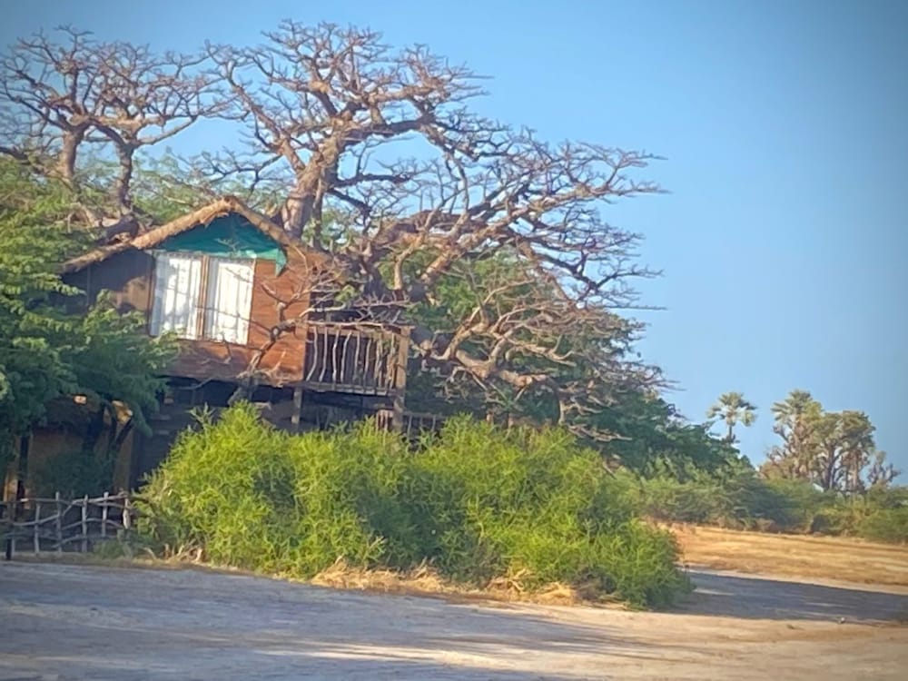 Standard Tree House, Lagoon View photo 2