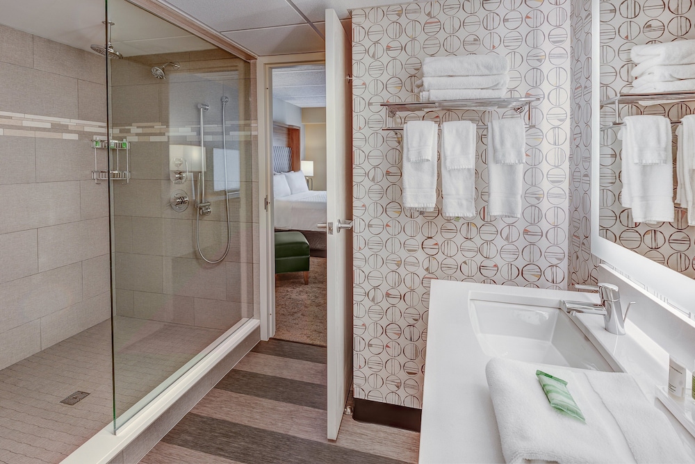 Suite, 1 King Bed with Sofa bed