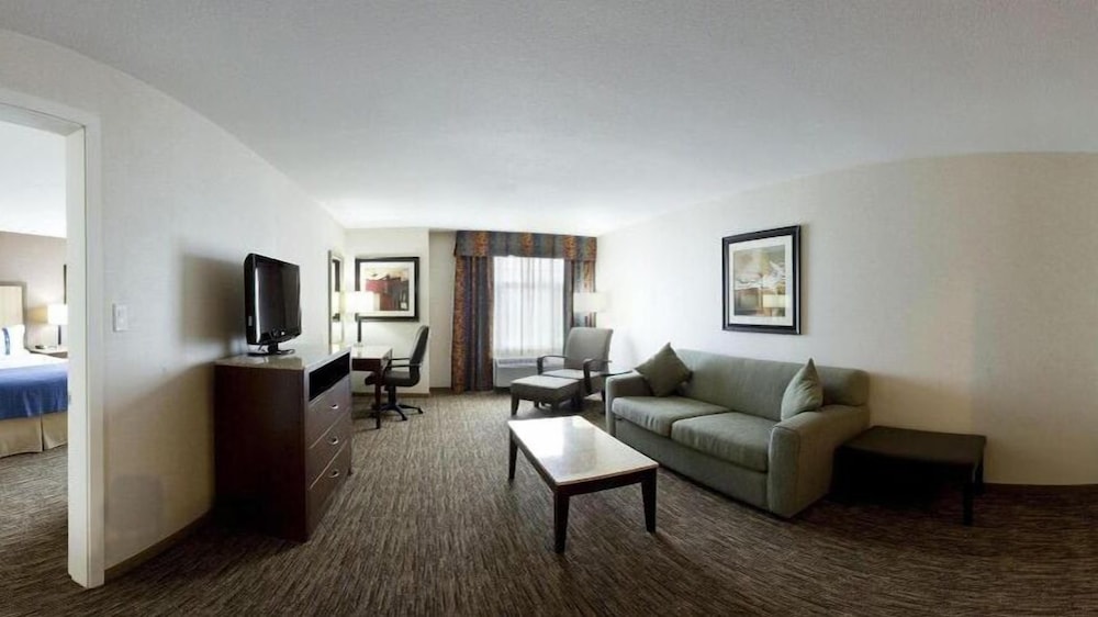 Suite, 1 King Bed, Accessible