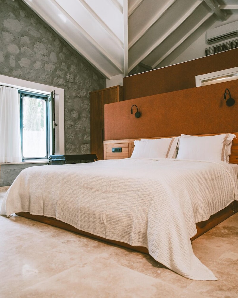 Double Room, 1 King Bed, Mountain View photo 1