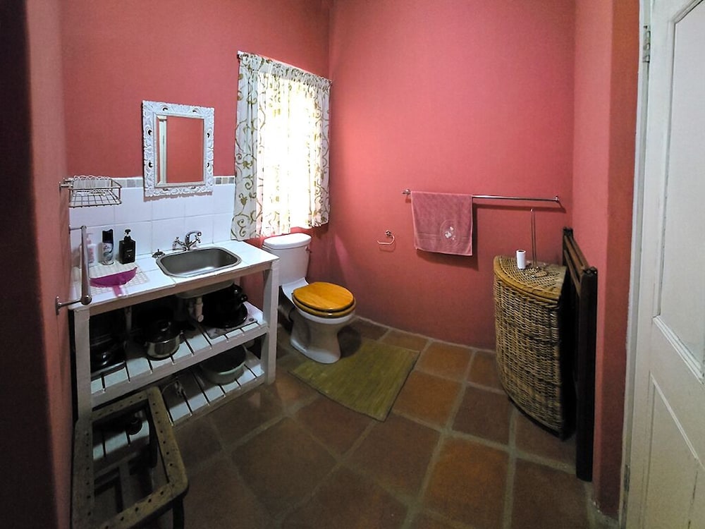 Standard Studio, Garden View photo 3