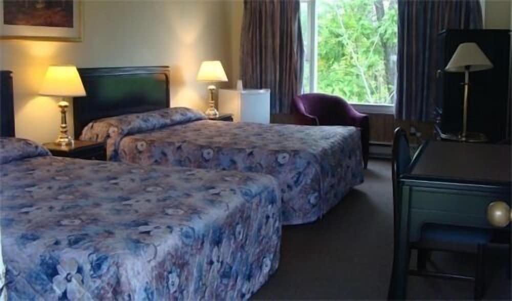 Room, 1 Queen Bed photo 2