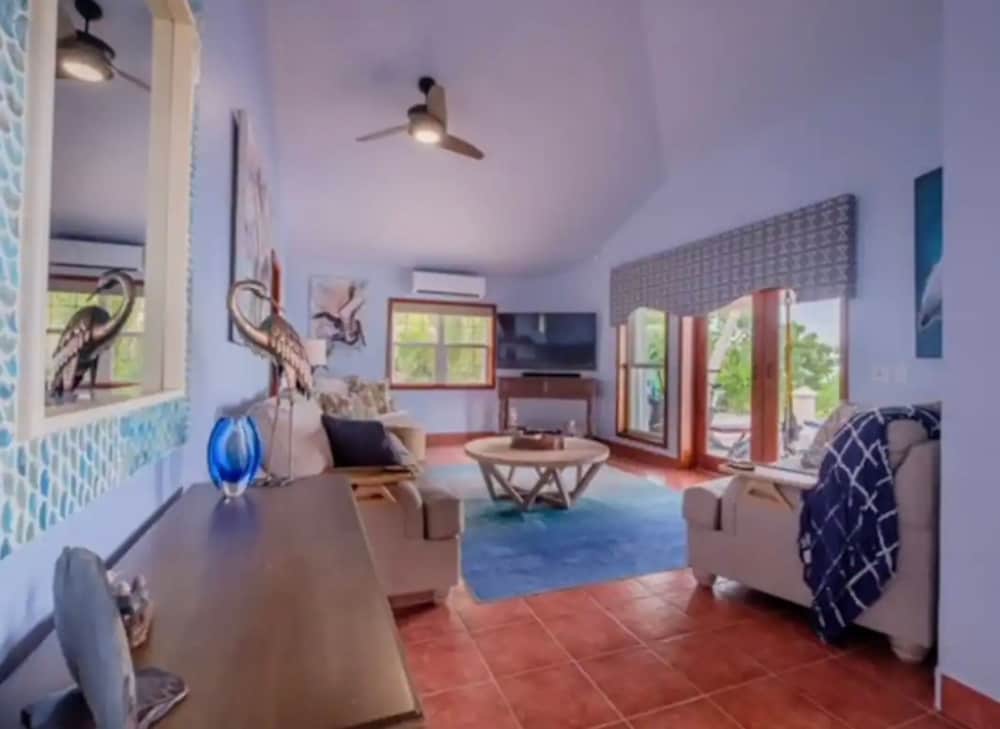 Basic Villa photo 3
