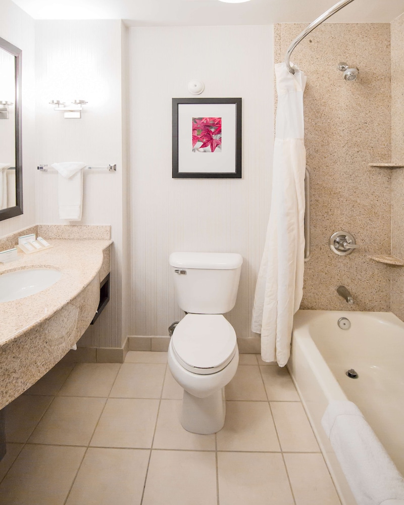 Junior Suite, 1 King Bed, Hearing Accessible - Photo 4
