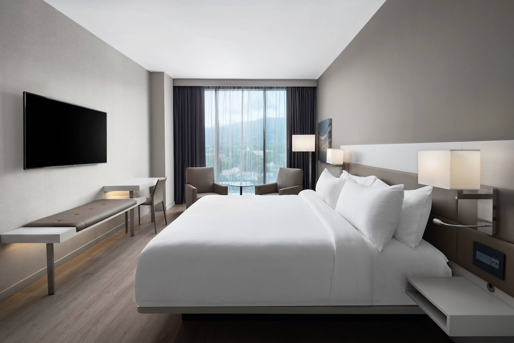Suite, 1 King Bed with Sofa bed photo 3