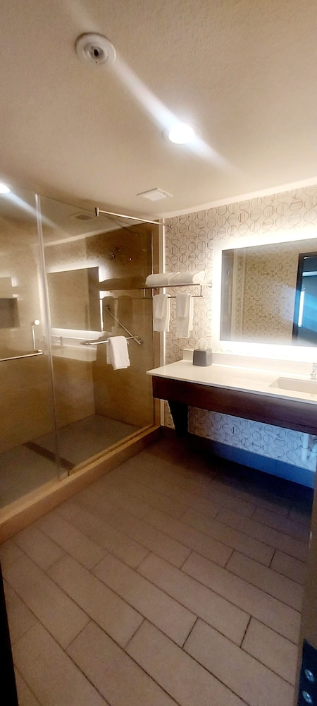 Suite, 1 Bedroom - Photo 6