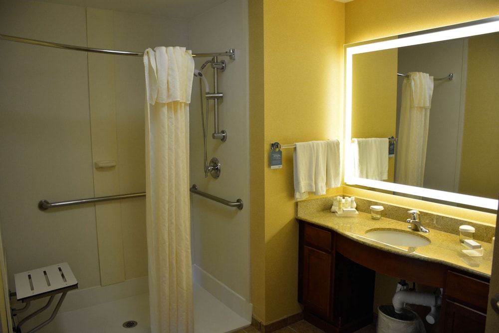 Suite, 1 Bedroom, Accessible (Roll-in Shower) - Photo 4
