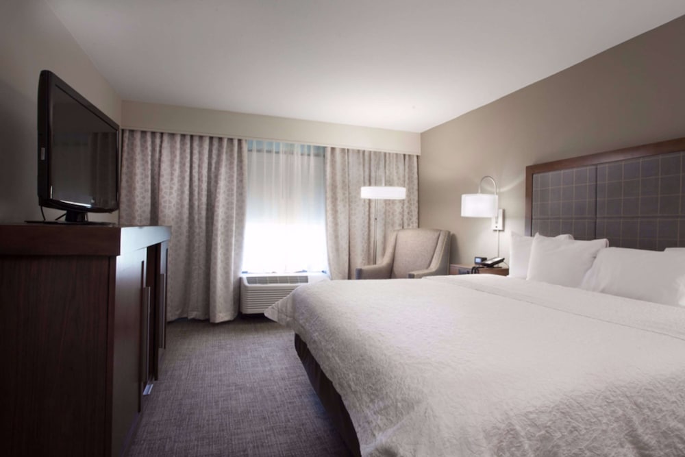 Suite, 1 King Bed, Accessible, Non Smoking - Photo 2