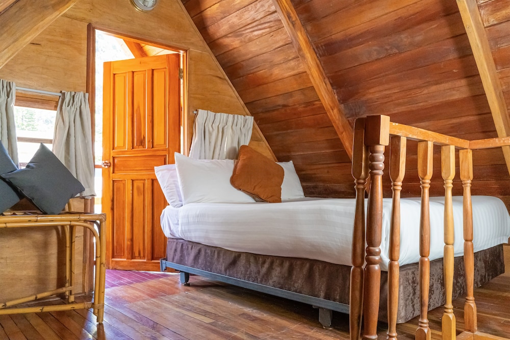 1 Queen Bed, Cabin Room photo 2