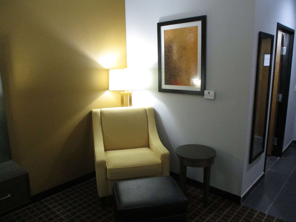 Standard Room, 1 King Bed, Non Smoking, Refrigerator & Microwave (Shower Only) photo 2