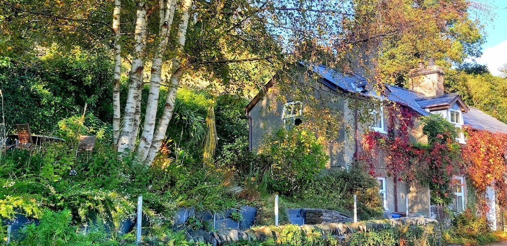 Cottage photo 1