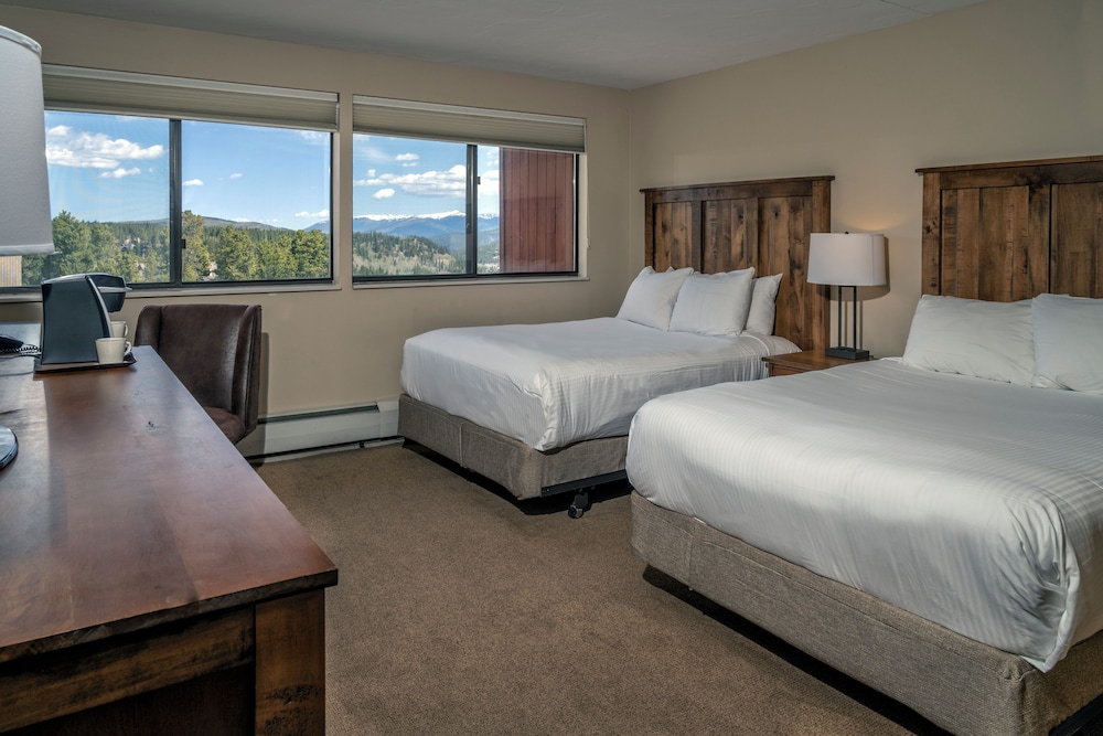 Petite Hotel Room photo 2