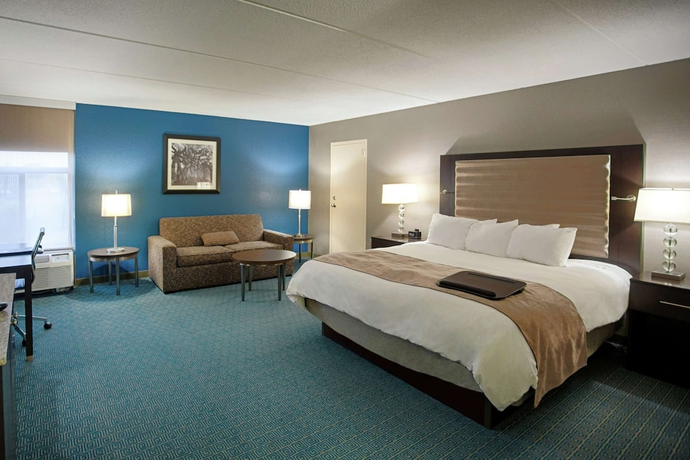Studio Suite, 1 King Bed - Photo 4