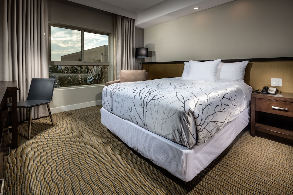 Penthouse, 1 Queen Bed, Accessible