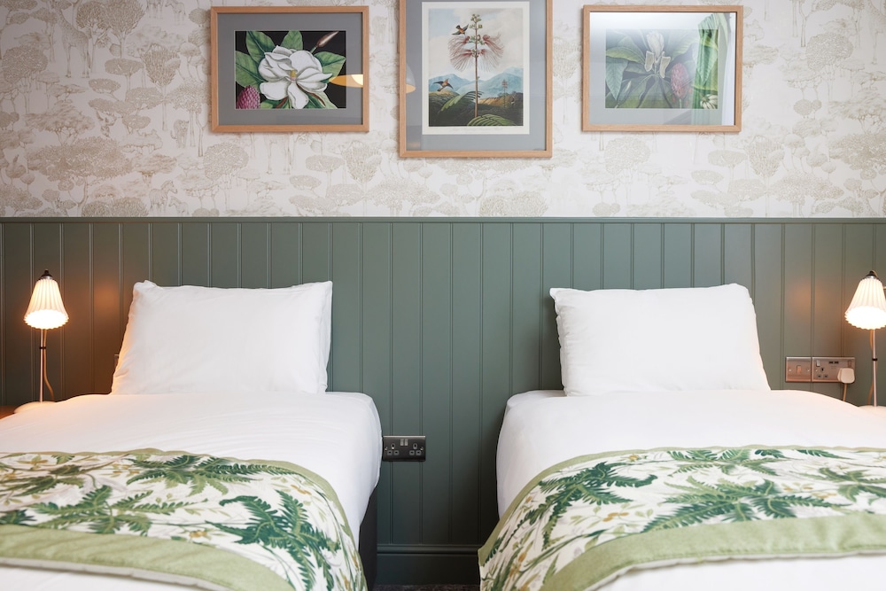 Twin Room photo 2