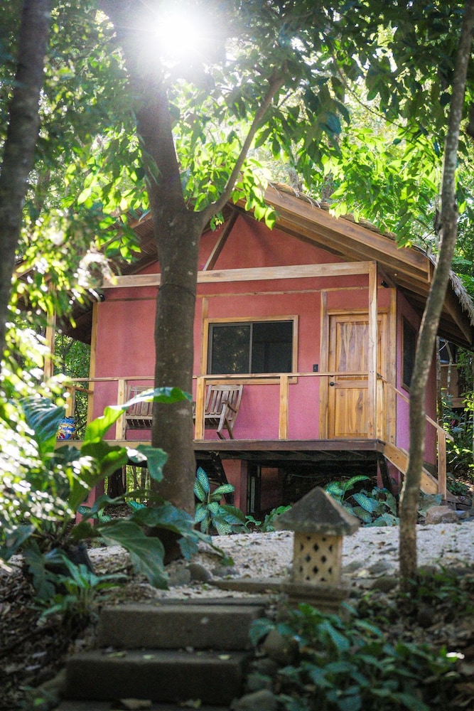 Jungle Dorm photo 1