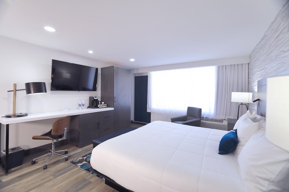 King Room with Gulf View - Non Smoking photo 2