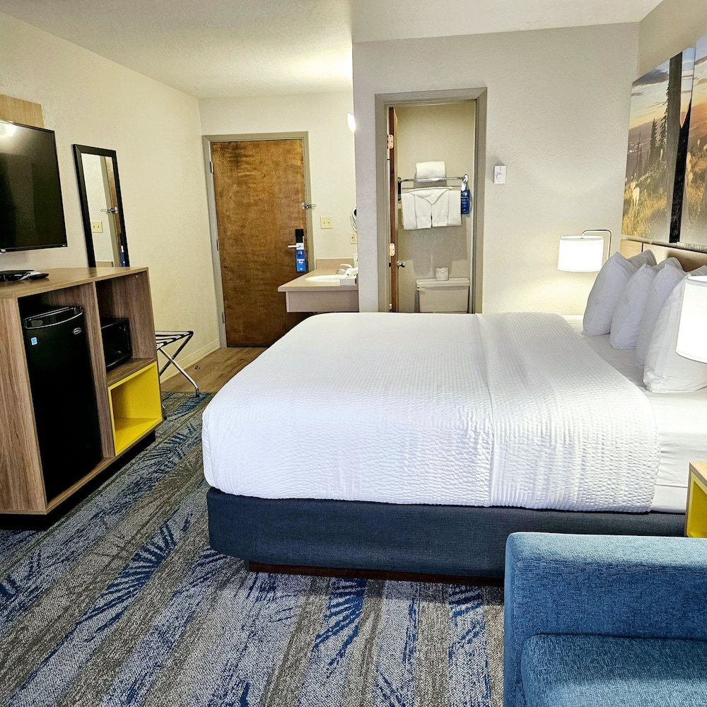 Deluxe Room, 1 King Bed, Non Smoking photo 3