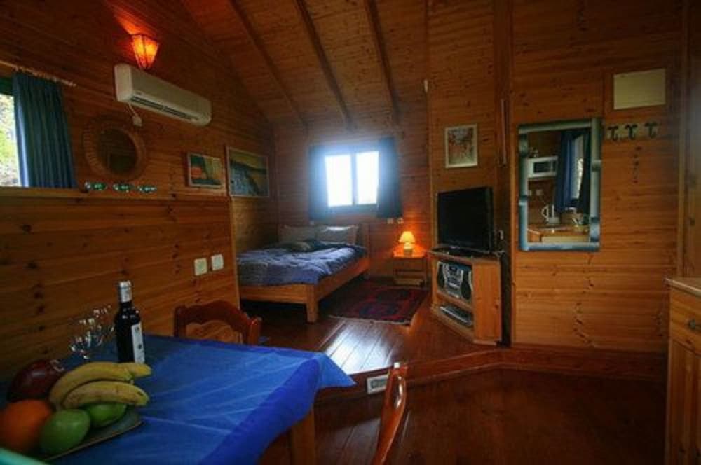Blue Cabin photo 3