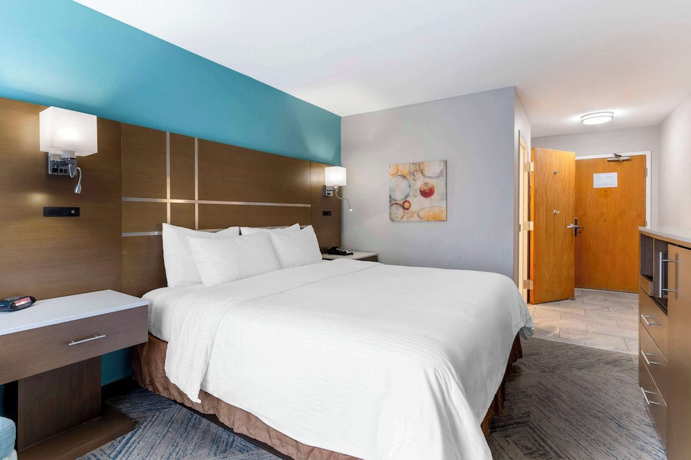 Standard Room, 1 King Bed, Accessible, Non Smoking photo 3