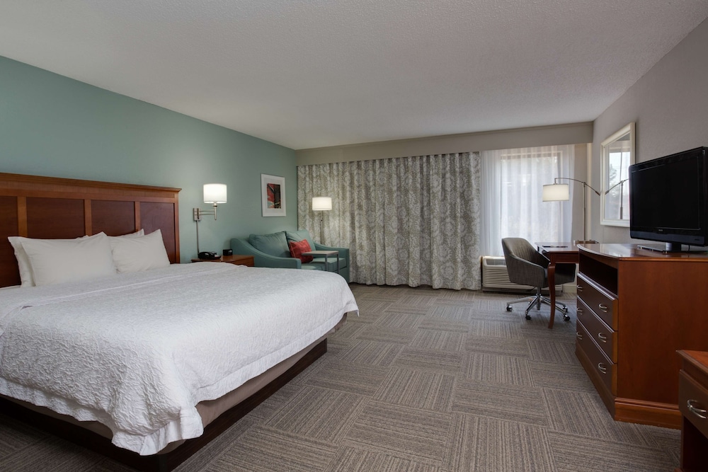 Room, 1 King Bed, Accessible