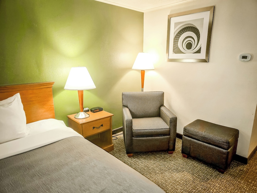 Standard Room, 1 King Bed, Non Smoking - Photo 5