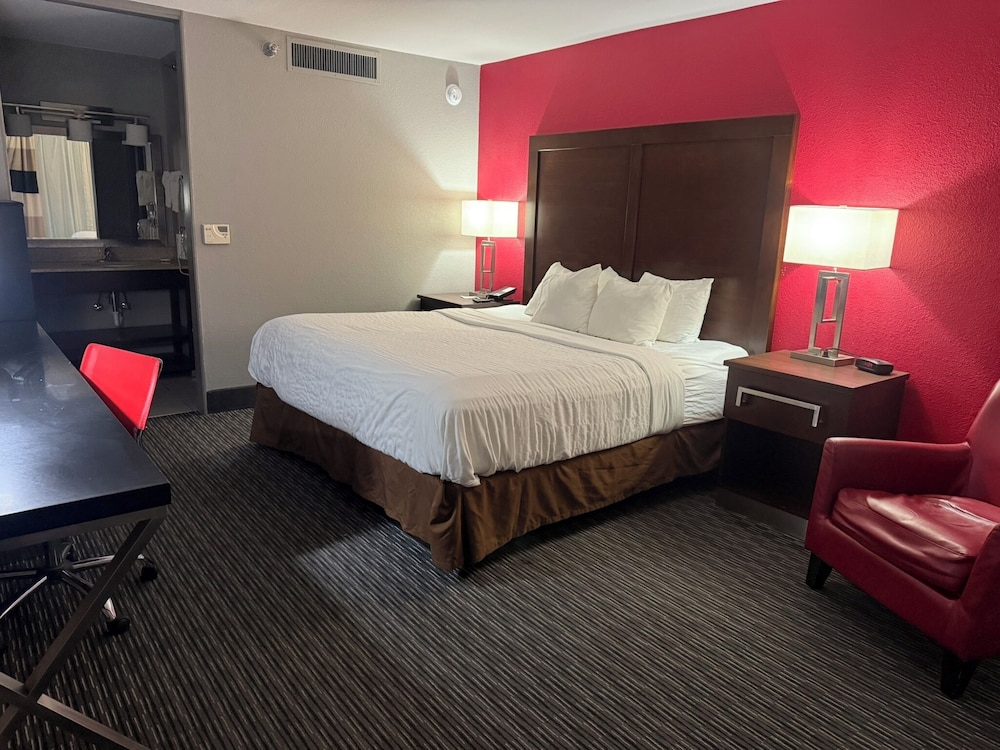 Room, 1 King Bed
