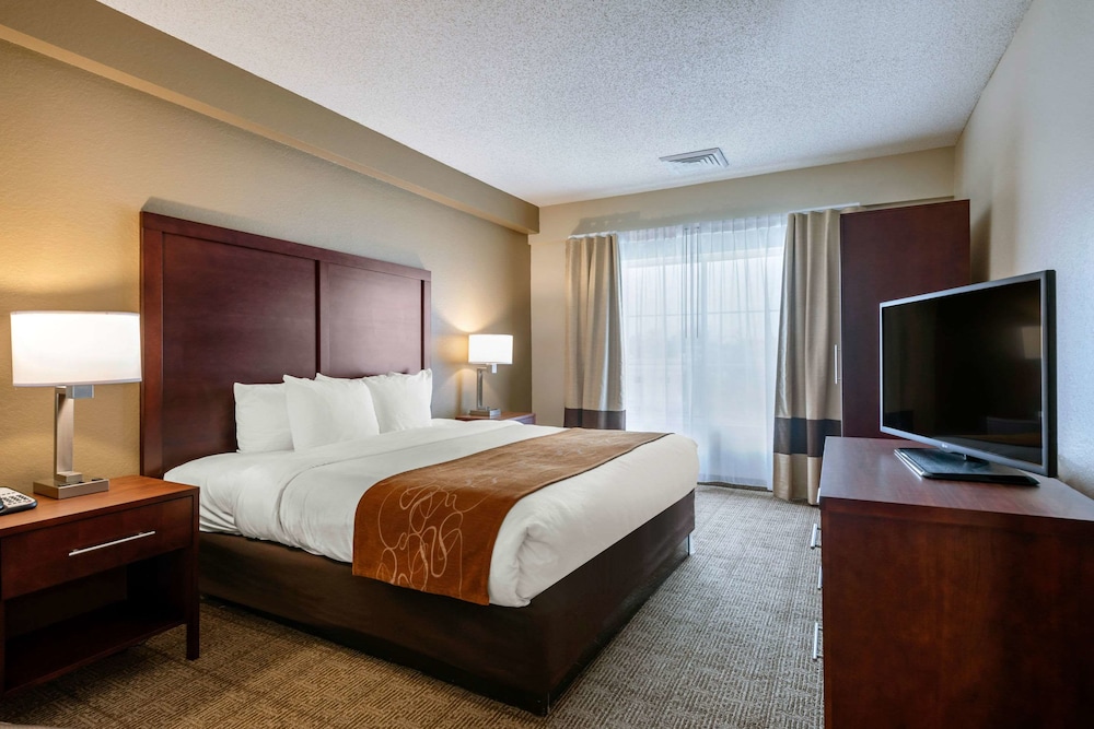 Suite, 1 King Bed with Sofa bed, Accessible, Non Smoking (Efficiency)