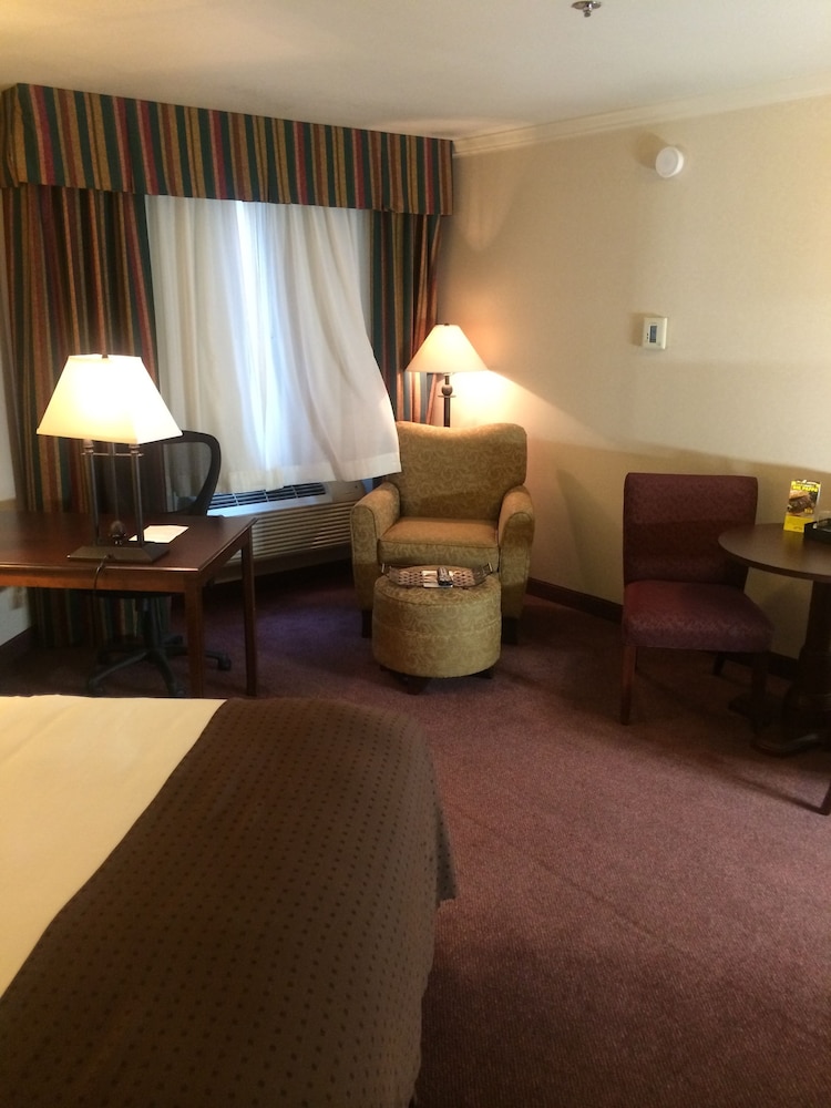 Suite, 1 King Bed - Photo 6