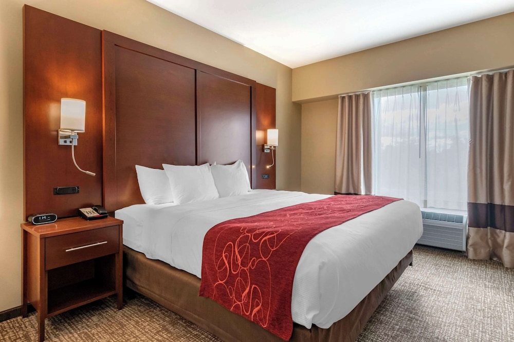 Suite, 1 King Bed with Sofa bed, Non Smoking photo 1