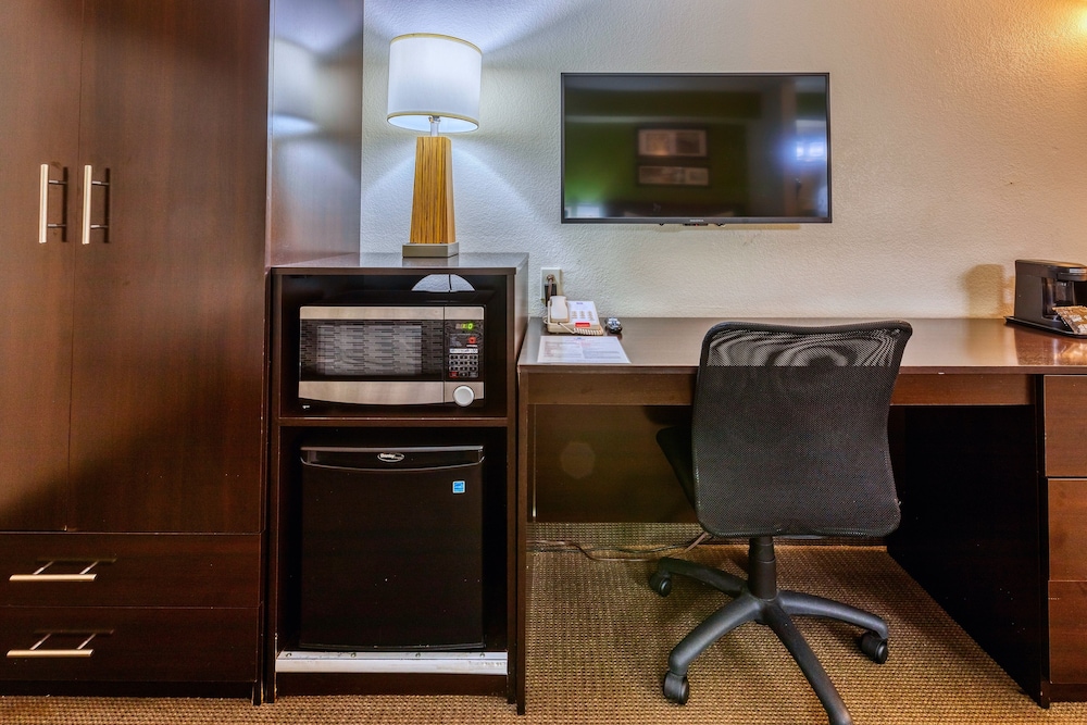Standard Room, 1 Queen Bed, Accessible, Refrigerator & Microwave - Photo 13