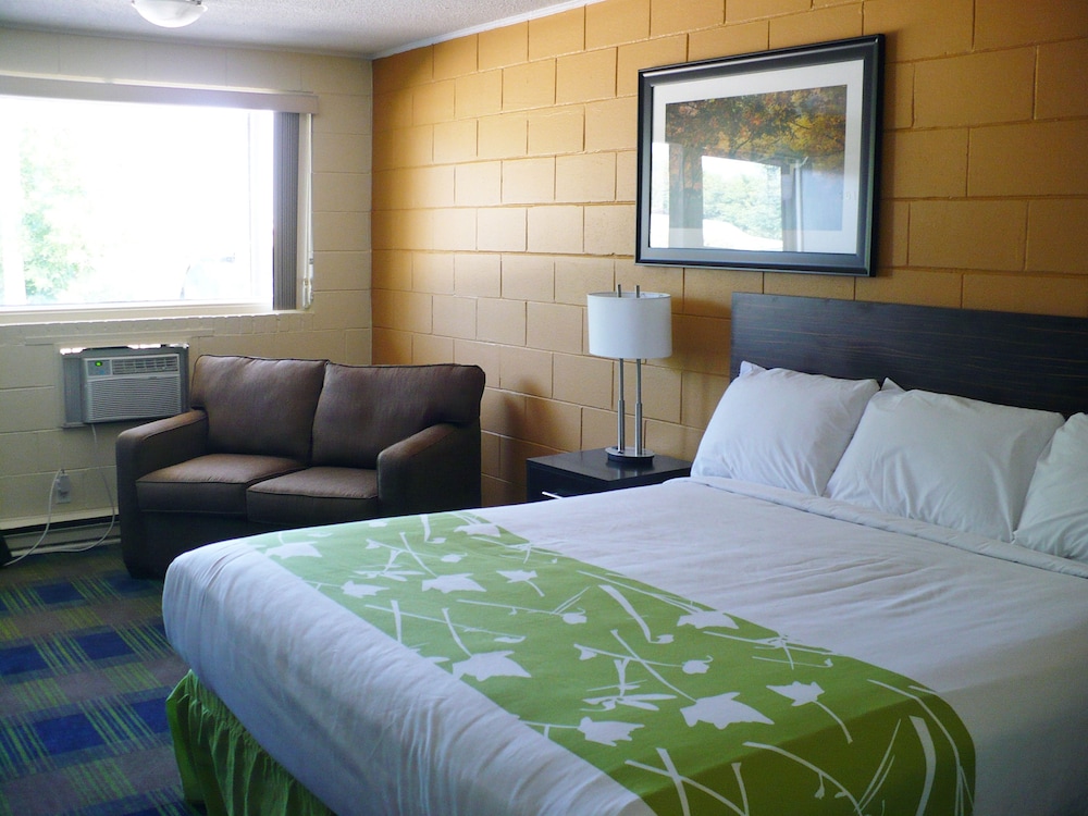 Executive Suite (Kitchenette, 1 King)