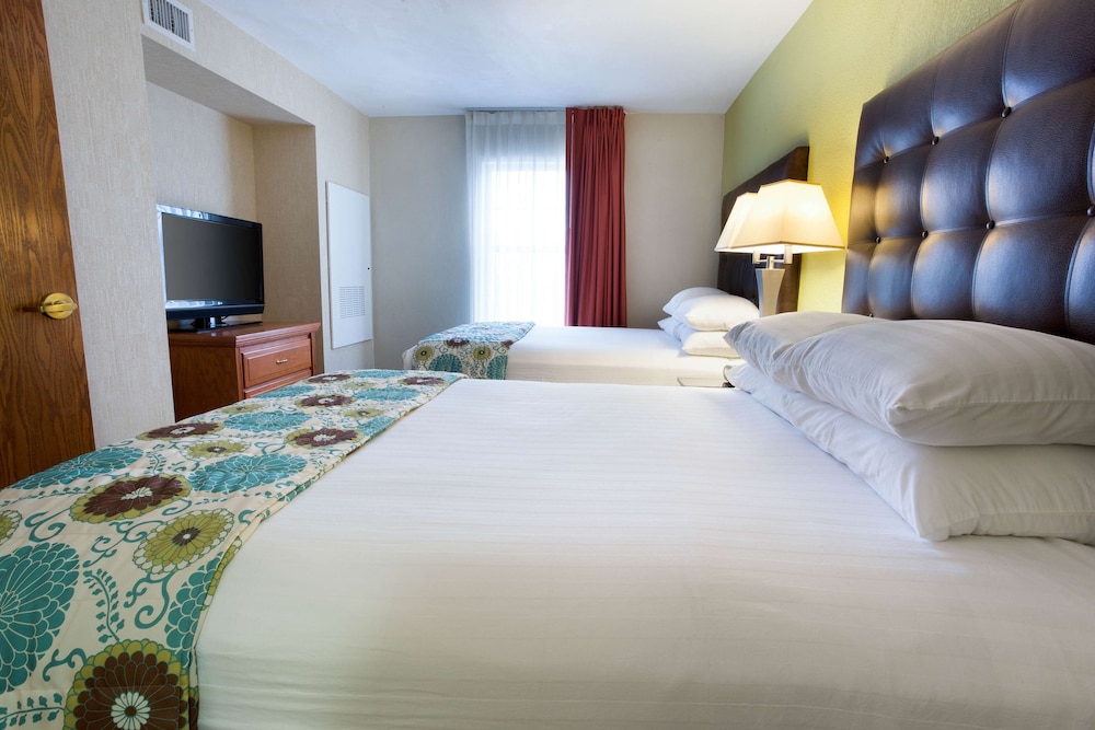 Suite, 2 Queen Beds, Kitchen (2 Rooms, Sofabed) photo 1