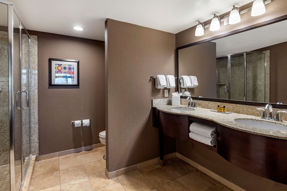 Suite, 1 King Bed, Non Smoking, Balcony (Queen sofabed;Larger Room) - Photo 5