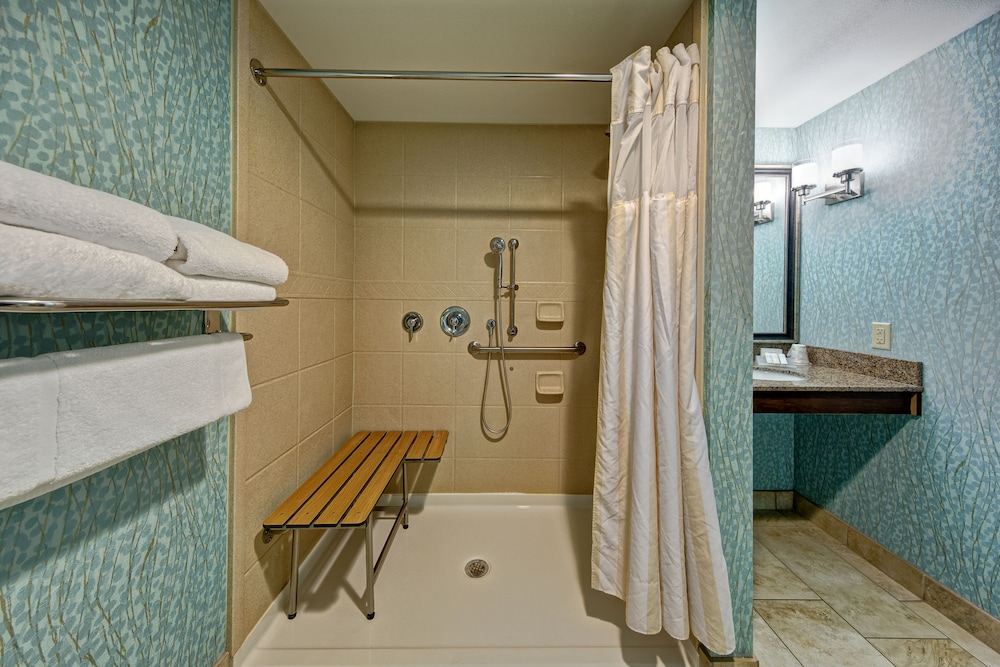 Room, 1 King Bed, Accessible (Roll-In Shower) - Photo 7