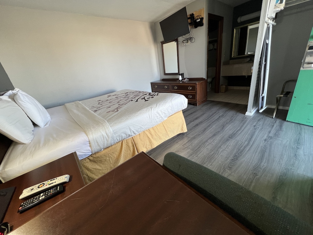 Room, 1 King Bed photo 2