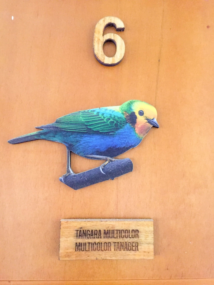 Multicolor TANAGER 6 photo 2
