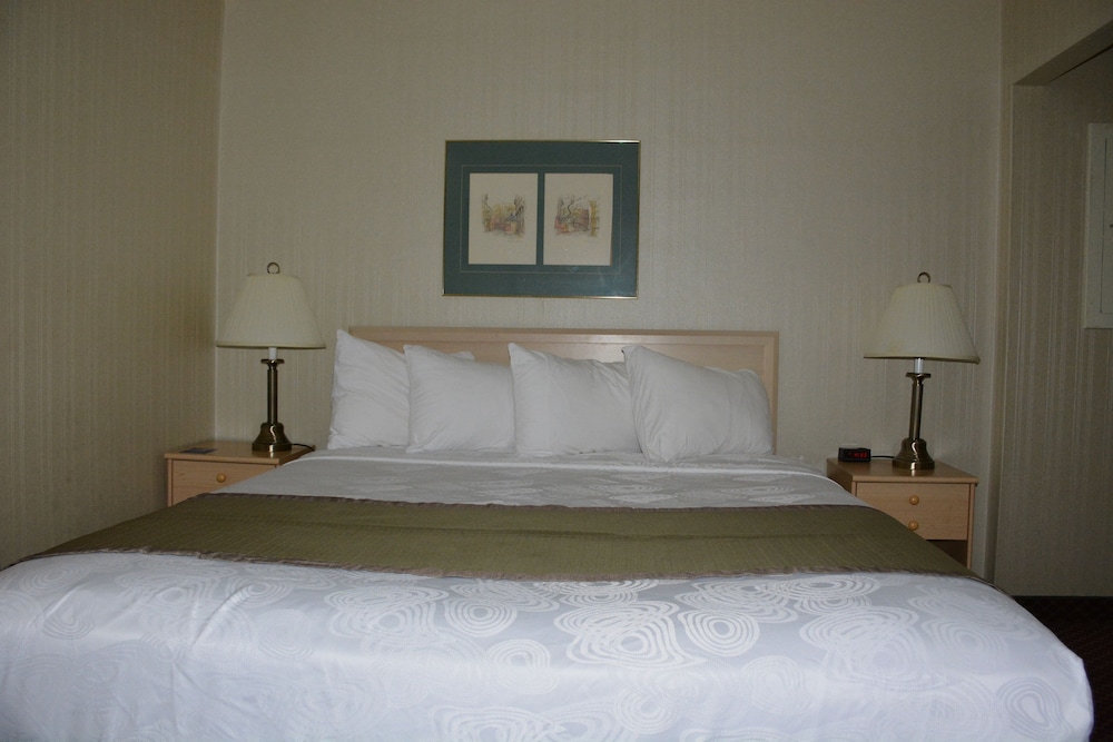 Suite, 1 King Bed, Non Smoking photo 1