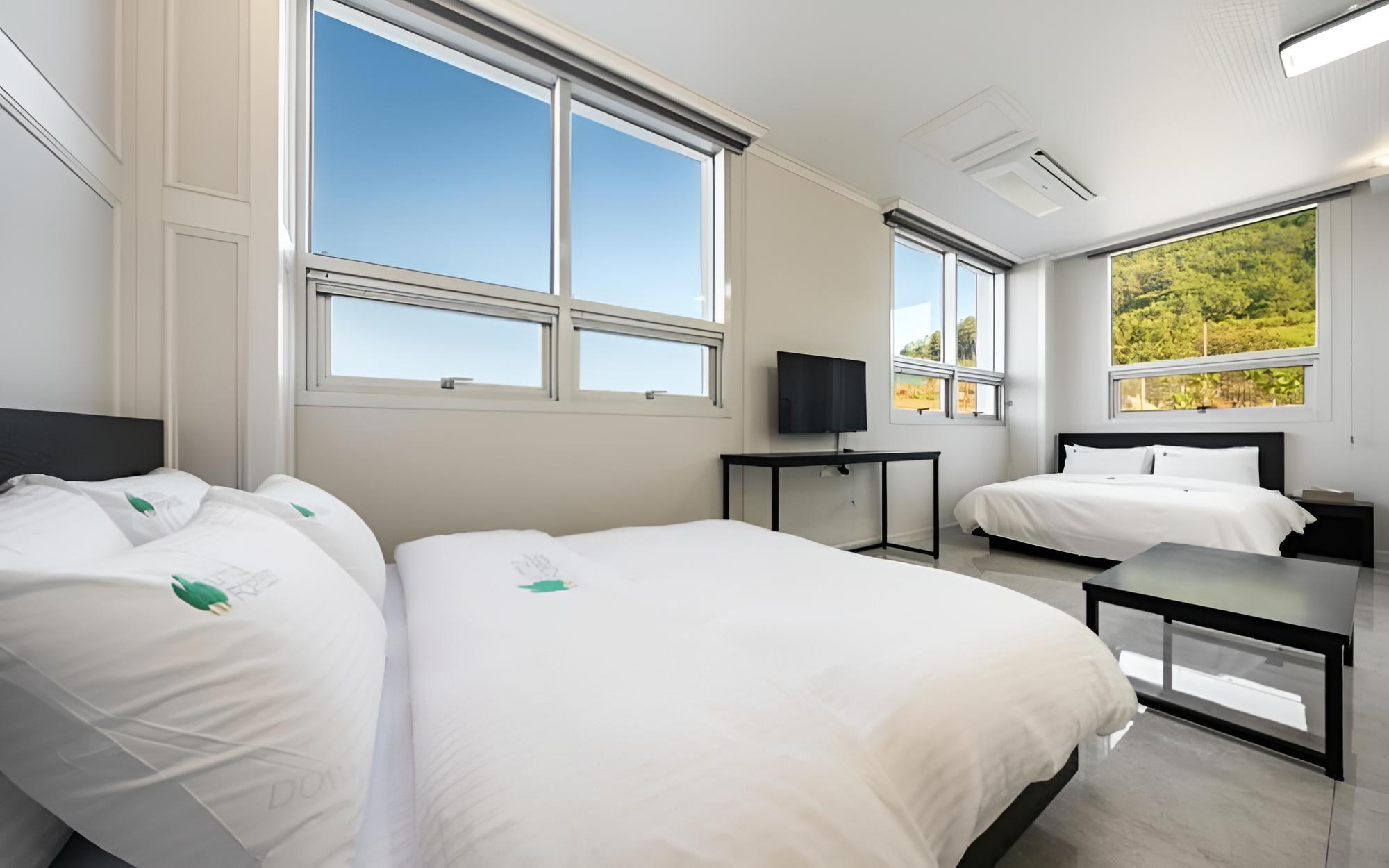 Room (Room 102) - Photo 8
