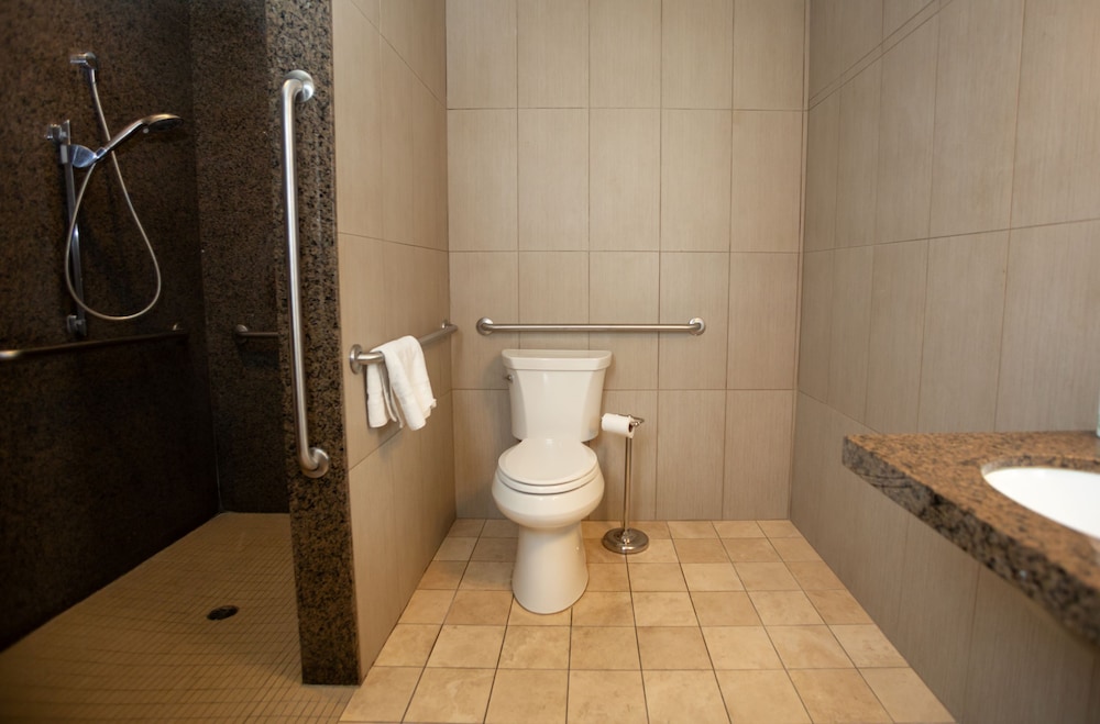 Standard Room, Non Smoking (ADA Roll in Shower) photo 3