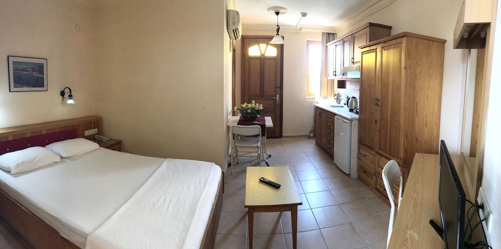 Standard Studio, 1 Bedroom photo 1