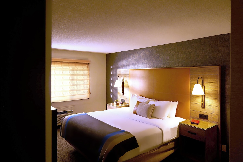 Lodge 1 King Bed Accessible - Photo 4